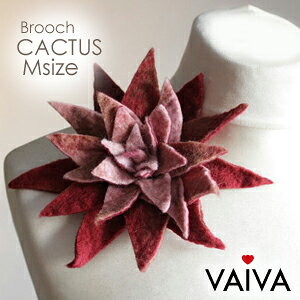 sԌ聚ʉitnhCh̗DtFgE[JN^X`[tRT[Wu[`M@tH[}ɂJWAɂ҂ (yMt_)(yMt_̂)