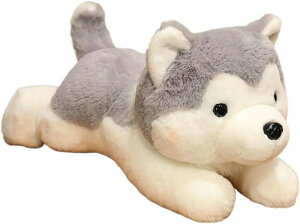   傫 nXL[ ʂ  A ӂӂ 킢 NbV ܂ \tg   j _炩 a 40cm v[g ʂ n