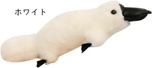 JmnV ʂ A  ӂӂ 킢 NbV { ʔ  \tg  _炩 _ Gǂ  Aj}  45cm  YQ 