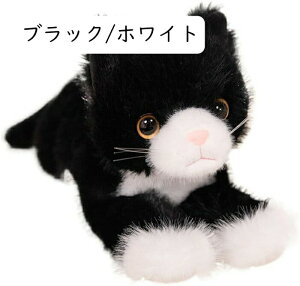 ʂ lR  L 傫  A ʂ ӂӂ 킢 { ܂ uE \tg   j _炩 a 53cm v[g