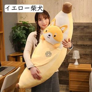 ʂ  oii   _炩 G肢 DGŃbNX  Cs[  CeA 蕨 v[g 100cm ̓ LOi Ԃ V