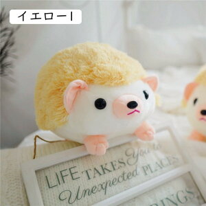 nlY~ ʂ ӂӂ  傫  A ʂ  @\ 킢 NbV \tg   ʂ _炩 40cm ӂ ̓ ܂