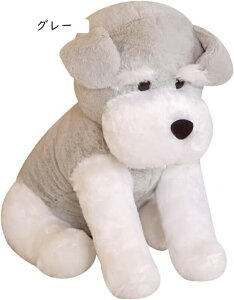 ʂ ViEU[    킢 ӂӂ 傫 A ₳G D n  xbhTCh  Q u j a q̓ NX