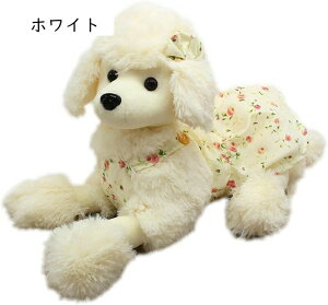 v[h ʂ  gCv[h A { Snǂ 킢 l`  u G D  xbh[ 炩 NX}X a 55cm v[g