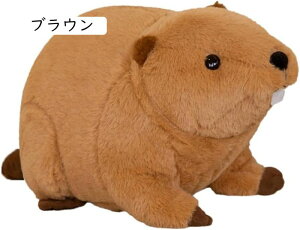 ʂ r[o[  킢 CK   傫 ₳G  xbhTCh w ܂ YQ 蕨 45cm  j ˂ނ˂ q̓ NX}