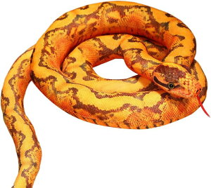 ʂ jVLwr  wr[   Gǂ  YQ  傫 Q D xbhTCh _炩 n 蕨 a 110cm q ޏ bh 