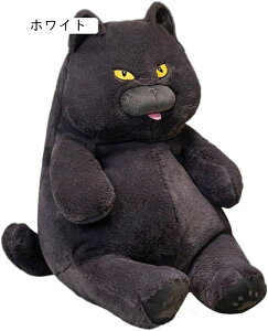 ʂ lR  L  킢 ӂӂ 傫 NbV ₳G D n  zCg xbhTCh  Q u j a q̓ N