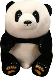 p_ ʂ  Gǂ 傫 킢 NbV Q 炩 w ubN YQ D ӂӂ  n 40cm 蕨 q̓ NX}X v[