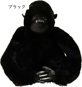 ʂ S     Gǂ 傫 xbhTCh w ubN ܂ YQ 蕨  j ˂ނ˂ ʐ^ 30cm N N