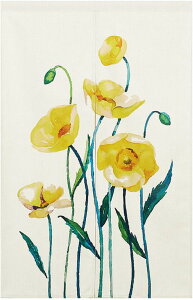 ̂ O  k g 65x90cm J[efM Ռ Ԏd؂ ډB _炩  CeA Lb` rO ʏ 䏊 HX o J[03 JXj Vz