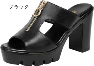 T_ ~[ fB[X q[ nCq[ q[ ɂȂ C ubN S[h Vo[ r ɂ  `L[q[ 10cm Vv  I[vgD 