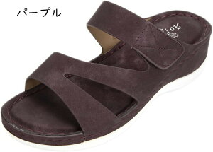 t T_ fB[X EFbW\[  ~[ q[ X[X {w~A {w~A  T{T_ 傫TCY  ubN  ][g s y RtH[g 