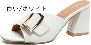 `L[q[ ~[ T_ t I[vgD RtH[g  5Z` ₷ Ȃ JWA 芴 ~ ~[T_ NbV 傫TCY r y