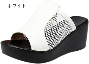  T_ fB[X ₷ ~[ EFbW\[ EFbW 傫TCY C T{T_ q[ 6cm 6Z` nCq[ I[vgD  bV C l x 