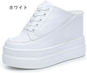 ~[ fB[X V[Y  EFbWq[ Xj[J[ T_ [XAbv  U s LoXV[Y y ʋC 芴  Vv rXbp JWA~