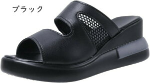 T{T_  fB[X r EFbW\[ ~[ q[ ₷ RtH[gT_ t   nCq[ vbgtH[ EFbW ₷ JWA  I