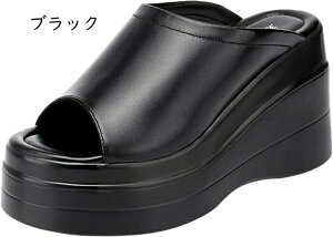 T_ T_ r I[vgD EFbW\[ ~[ T_ fB[X ₷ s  tbgtH[ T_ fB[X T{T_ RtH[g ubN