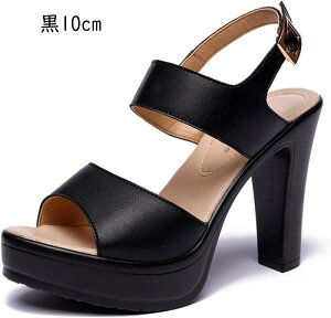 fB[X T_ Vv  q[ nCq[ 13cm q[ r y  JWA AEghA ʋ ItBX ʊw 킢 T_ ₷ Ȃ RtH[g