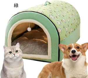 ybgnEX L nEX  p O\ ybgxbh pxbh Lpxbh ybgNbV ybg}bg ~p g ۉ h ʔN _炩 薰 􂦂 ~