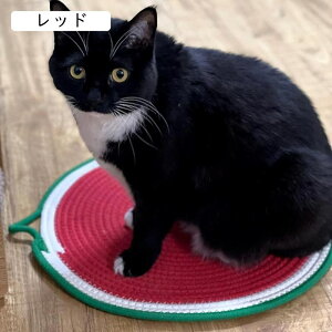 �� �}�b�g �L �}�b�g �y�b�g �}�b�g �_�炩�� �g���� �����΍� �ėp �~ �􂦂� �h�� �� �x�b�h �L �x�b�h �y�b�g�x�b�h ���������p�b�h �y�b�g�p���������}�b�g �l�G�ʗp �R��Ȃ� ���^�� ��