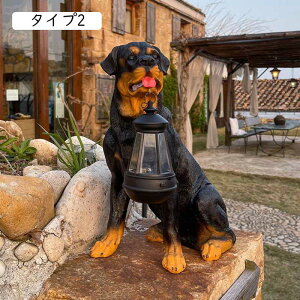 \[[u Ck ^Cv3  \[[Cg K[fI[ig h ϋv 킢 v[g  O fR[V K[fjOIuWF uCg ZT[   t  