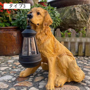 \[[u Ck ^Cv3  \[[Cg K[fI[ig h ϋv 킢 v[g  O fR[V K[fjOIuWF uCg ZT[   t  