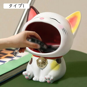 [{bNX u ˂  lR [fz[e[ufR[V [{bNX IuWF  WG[  rv ^Cv5 TOX F kG 