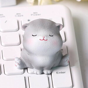 ETM u }XRbg IuWF Aj} ^Cv15 ~j ˂ ObY   ̒u rbg  u 킢 I[ig fBXvC   F ItBX rO