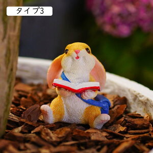 K[fI[ig  F u ˂  ^Cv6 K[fjOG K[fIuWF   A  K[fG }XRbg Aj} CeA AEghA   