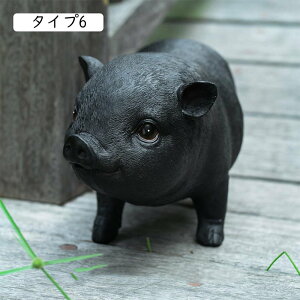 u CeA K[fjO K[fI[ig v[g  K[f ~j`Au fXNgbv 킢  pig    ItBX p  ^Cv5 K[