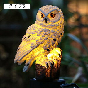 \[[Cg K[fCg O K[fjO u ӂ낤 IE K[fI[ig fR[V  _E  킢 ϋv h   F O a X