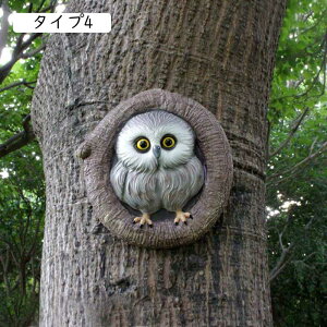 tNȆ ӂ낤 u }XRbg IuWF 킢 ~j CeA   W   ^Cv4 N K^ ̒u  rO  킢 k G C