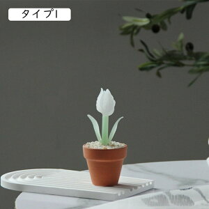 萁KX A[g F  킢 NX^ ~j`A t[ u z[ ItBX ^Cv6 fXN  V~[V A  i av[g Mtg 蕨 