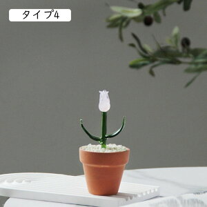 萁KX A[g F  킢 NX^ ~j`A t[ u z[ ItBX ^Cv6 fXN  V~[V A  i av[g Mtg 蕨 