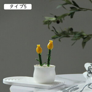 萁KX A[g F  킢 NX^ ~j`A t[ u z[ ItBX ^Cv6 fXN  V~[V A  i av[g Mtg 蕨 