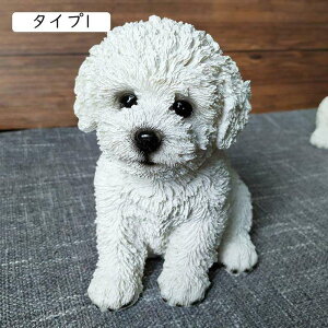 u K[fI[ig IuWF  K[f Ck IuWF   F K[fjO  CeA G  q̒a l o^Cf[ EFfBOMtg