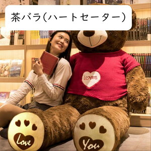 D efBxA ܂ F rbOTCY  QNbV  Q NbV  e 炩 @\ n 􂦂 Ƒ l u X CeA 