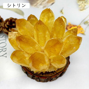  NX^̃NX^  Vg VR u t i  J^  J^ObY VR CeA p[Xg[ ACe ItBX v[g 蕨 0.6k