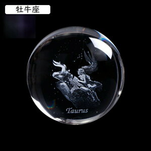 \񐯍 NX^ u  G ^Cv12 ^up CeA  NGCeBu NX^u j  ޏ  蕨 a v[g  킢  