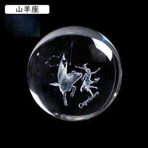 \񐯍 NX^ u  G ^Cv12 ^up CeA  NGCeBu NX^u j  ޏ  蕨 a v[g  킢  