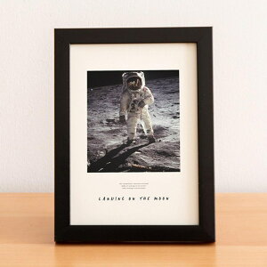 ؐ tHgt[ ͂TCY Ng uE cp ʐ^ ʐ^ tHgX^h t[  |XgJ[hTCY nKL t Ebh Ebht[ ؒ G i`