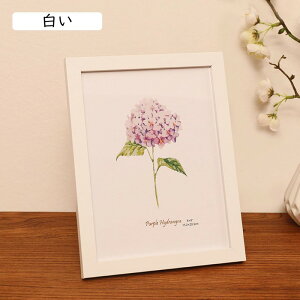  tHgt[L Ebh i` ʐ^ ؐ c1p ƋLOi 12.7*17.8cm cLO  Ebh j EGfBO uC_ uE Mtg Ǝ