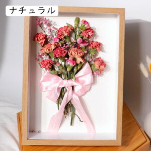 z A4 20.3*25.4cm ؐ ̊z A[g{bNX O[ t[ {bNXt[ vo t[ z A[g{bNXt[ [30mm pXeJ[ tHgt[ EF