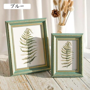 tHgt[ ͂TCY sN L  J[ p[ 12.7*17.8cm ёz 킢  i`    cu |XgJ[h k y y