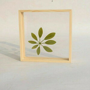 tHgt[ tHgX^h 11.4*11.4cm ʐ^ ʐ^   Ǌ| u^ X^h VR KX ؐ cu u ʐ^t[ i` ʐ^ Ce