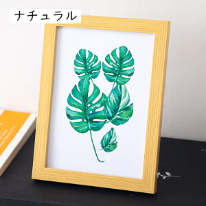 Ebh ʐ^ LTCY  i` ʐ^t[ 8.8*12.7cm Ǌ|  tHgt[ ؐ uE zCg j z ʐ^ L LOi ސEjMtg