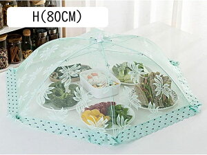 t[hJo[ HJo[ G(80CM) P` ԕt f[W[ hJ  n 킢 ԕ ~` HP H앢 ܂ݎ Ԃ牺 [Xt  ͂ ĕ k ʋC