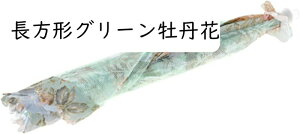 HJo[ t[hJo[ 悯 ho ܂肽 Lb`c[ [X P^ [ RpNg ʋC @\ y  Ղ ֗ fU[g  sNjbN  81*81*26