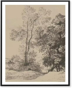 G CeA i 50x70cm wi ǉ A[gpl ǂ̊G Ǌ| fUC04 \t@̔wiG  G ԕr̉ԃCeA Jt |X^[ Ǐ Lb` Q gt