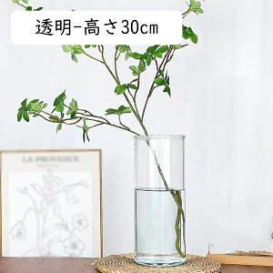 KX̉ԕr  Ԋ 12cm t[x[X 傫 KXx[X KX{g AW X[L[O[30cm CeA ԕr L ͔|   a KXԊ } 